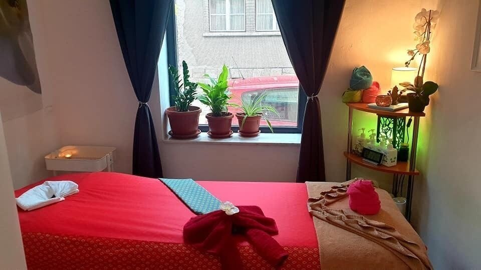 Sofia Thai Massage София Тайландски масажи - Масаж и СПА София